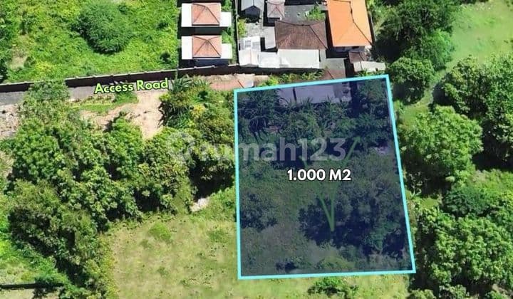 1000 m2 Tanah dekat Pantai Nyang - Nyang - Pecatu, Badung