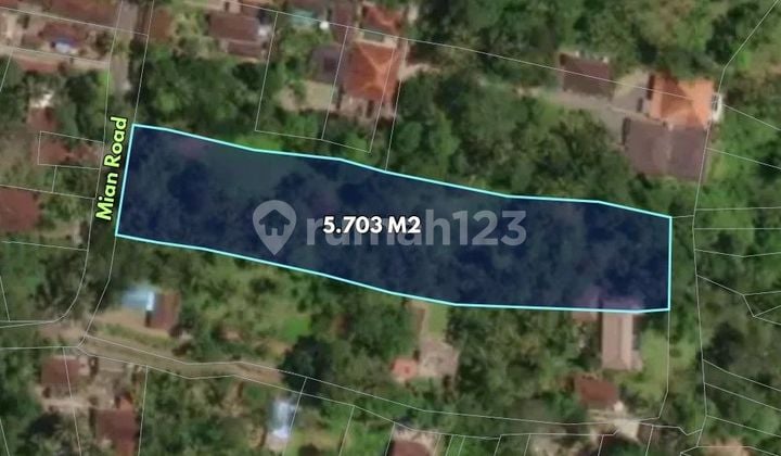 5703 m2 Land near WYAH UBUD - Kedewatan, Gianyar