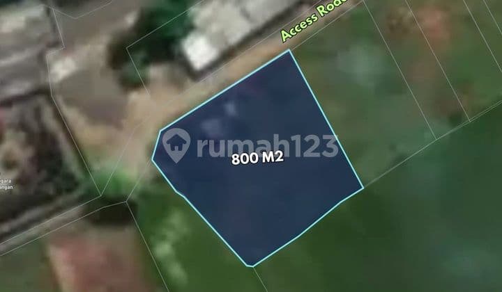 Tanah Dekat Pantai Lovina, di Baktiseraga, Buleleng