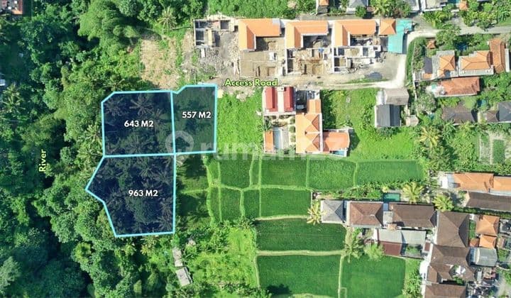 2163 m2 Tanah dekat Puri Agung Ubud - Petulu, Gianyar