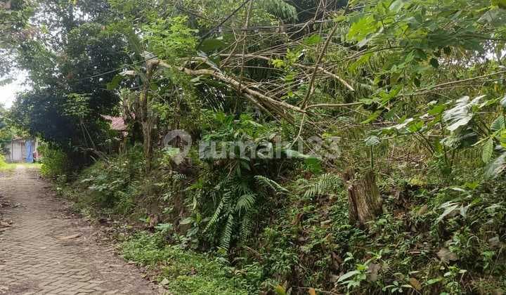 Cisoka Land 700M² Square Shape, Cempaka, Vehicle Access, Near Market, Tangerang Regency