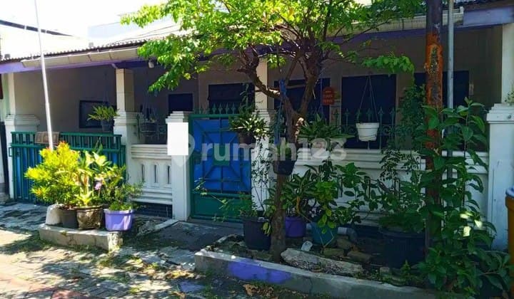 Rumah Pandugo Praja Penjaringan Sari Rungkut Surabaya