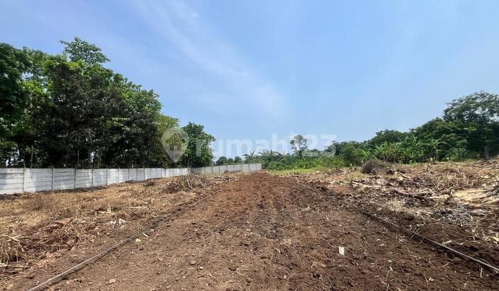 Tanah Murah SHM Cisauk, Strategis Dekat Stasiun Cicayur