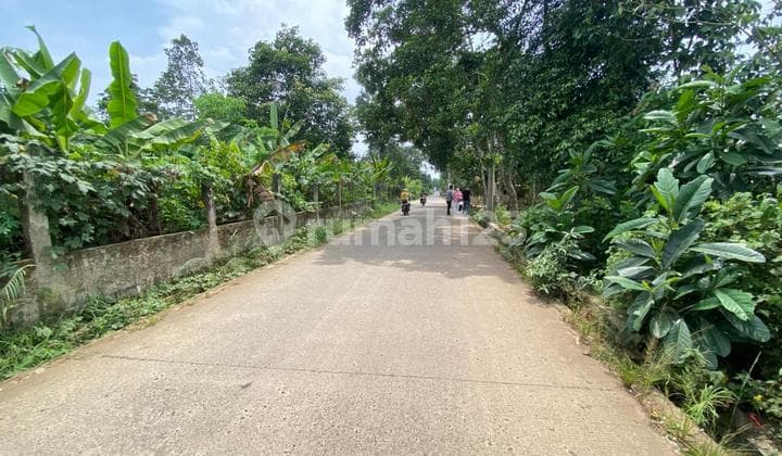 Jual Tanah Murah Cisauk Dekat Stasiun Cicayur Terima SHM Perunit