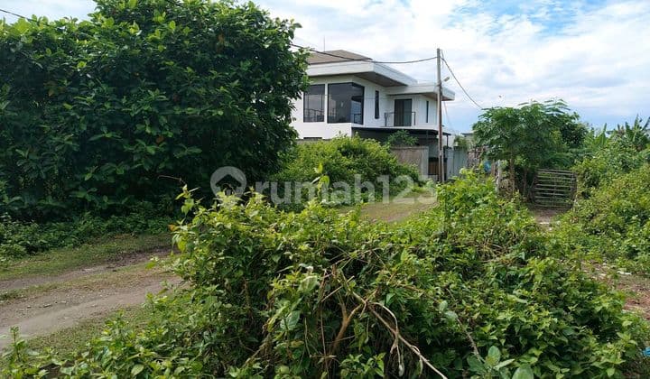 Di Jual Tanah 214 Meter Di Mertanadi. Kerobokan