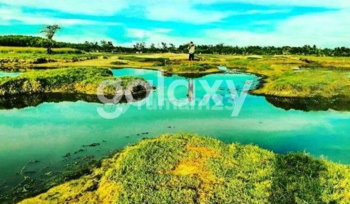 Di Jual Tanah Los Pantai Di Sumba Timur