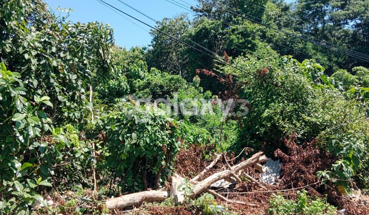 TANAH BUKIT HIJAU JIMBARAN BADUNG, BALI