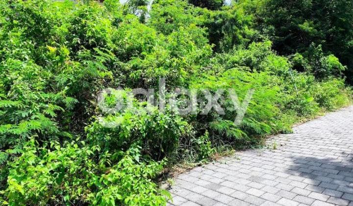 RESIDENTIAL LAND AREA AT BALI CLIFF, UNGASAN, BADUNG, BALI