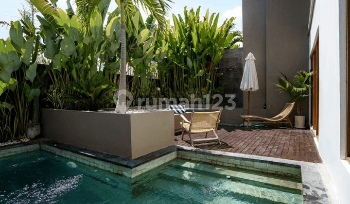 Villa 2Br Rice Field View In Canggu