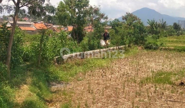 For Sale Tanah Matang Di Jatinangor Cocok Untuk Kost-kostan Int