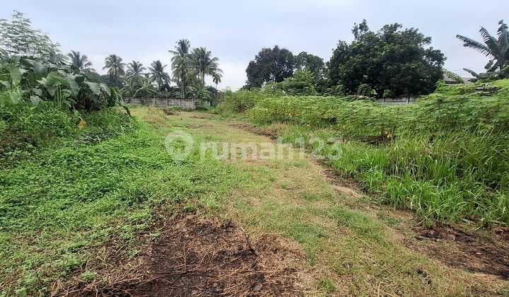 Tanah SHM Lokasi Strategis di Pondok Udik, Kemang, Bogor