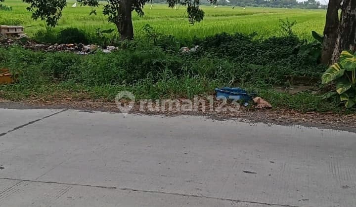 Industrial Zone Land, Sukodono Location, Suitable for Warehousing