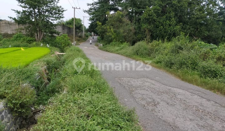 Tanah Krangkeng Wetan Sukorejo 1.4 HA View Pedesaan Bagus