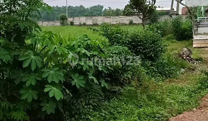 Tanah Luas Strategis Jatirejo Mojokerto View Pedesaan