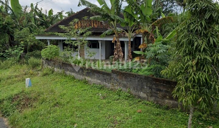Cheap Plantation Land in Doko Blitar Area Suitable for Livestock Farming