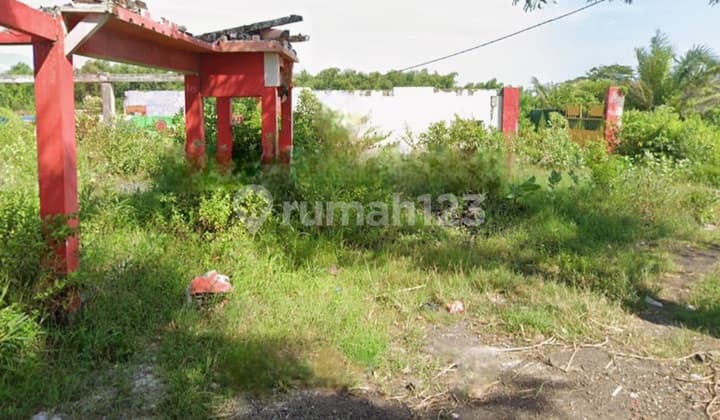 Tanah Pertanian Tamansari Dringu Probolinggo Lokasi Strategis