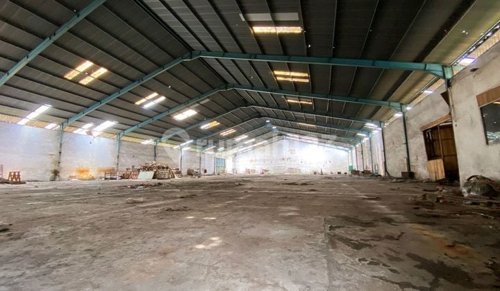 Ex Factory Warehouse in Pasuruan Cheap 2.5 Million/m2 40" Container Access Ex Factory Warehouse in Pasuruan Cheap 2.5 Million/m2 40" Container Access