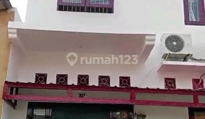 Pakis Gunung Satelit Surabaya