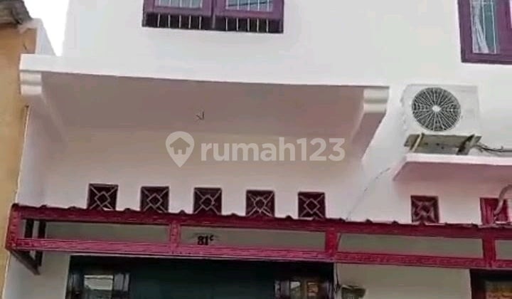 Pakis Gunung Satelit Surabaya