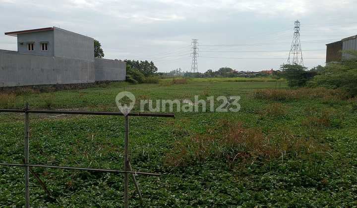Dijual Tanah Sawah Bypass Krian