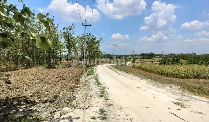 Tanah Kedamean Gresik