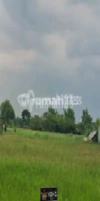 Eksklusif Kavling Stategis Greenland