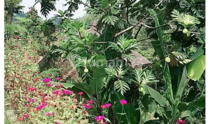 Cheap !! FOR SALE BEAUTIFUL AND PEACEFUL MEGA MENDUNG VILLA WITH A SERENE COUNTRYSIDE ATMOSPHERE