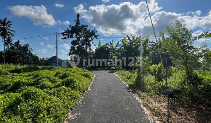 Tanah 1,5 Are di Dukuh Sari 8, Buruan, Blahbatuh, Gianyar