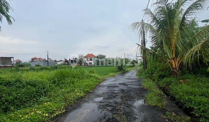 Tanah 150 M2 di Abianbase, Gianyar