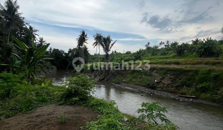 Tanah Kavling, di Saba, Blahbatuh