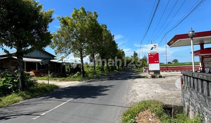 Tanah 29 Are di Pinggir Jalan Utama Tulikup - Siyut