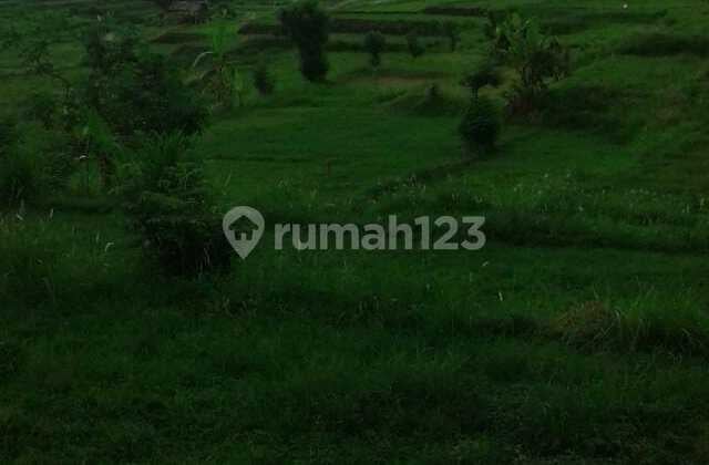 DIJUAL TANAH PREMIUM 40 ARE COCOK INVESTASI EKSKLUSIF DI JEMBRANA