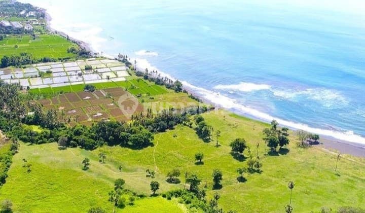 Tanah Premium Dekat Pantai Saba Legal Lengkap, Infrastruktur Siap Bangun