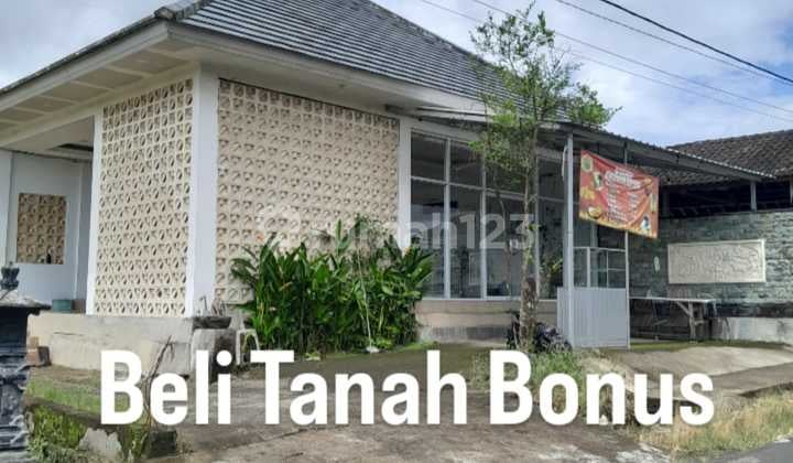 Dijual Tanah 1.012 M² + Bonus Rumah View Lereng Gunung Dekat Jatiluwih Rice Terraces