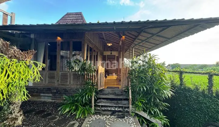 Villa Leasehold 2Br View Sawah & Sunset di Tabanan