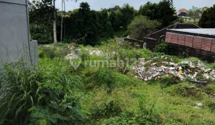 For Sale Cheap Premium Land in Canggu