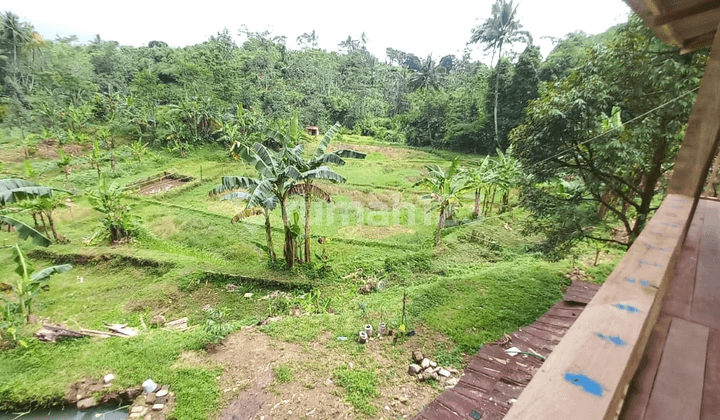 Dijual Tanah Lokasi Strategis di Cigombong - Bogor