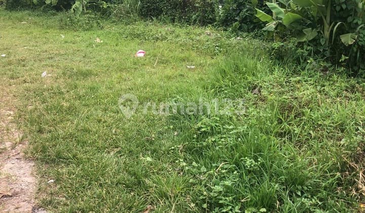 Dijual Tanah Pondok Cabe Udik, Pamulang, Tangerang Selatan