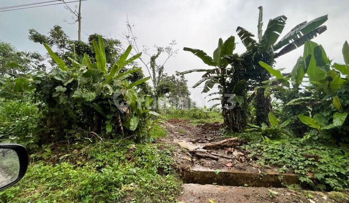 Dijual Tanah Luas 3Ha Rahong, Lebak Regency, Banten