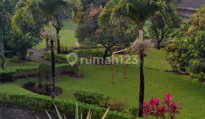 Dijual Tanah Strategis dan Asri ada Kolam Renang Puncak - Cipanas