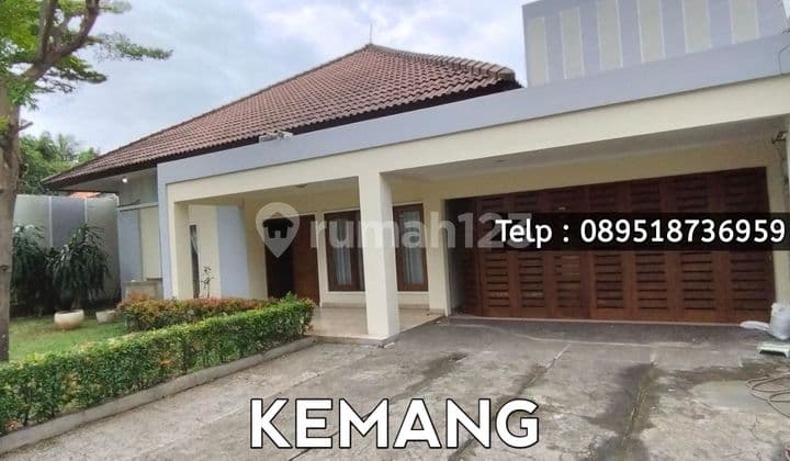 Kemang - Rumah Bagus Siap Huni dengan Halaman Belakang Luas di Kemang Jakarta Selatan