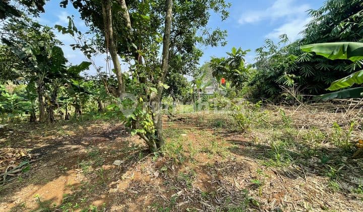 Tanah Strategis Di Bojong Gede Untuk Cluster Atau Investasi