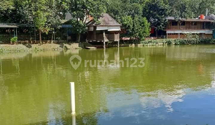 Spacious Pond House in Sentul Bogor Area