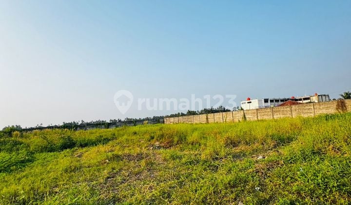 Dijual Tanah / Kavling Pingir Jalan Rajeg Tangerang Murah 2000m2 Akses Tol 20menit