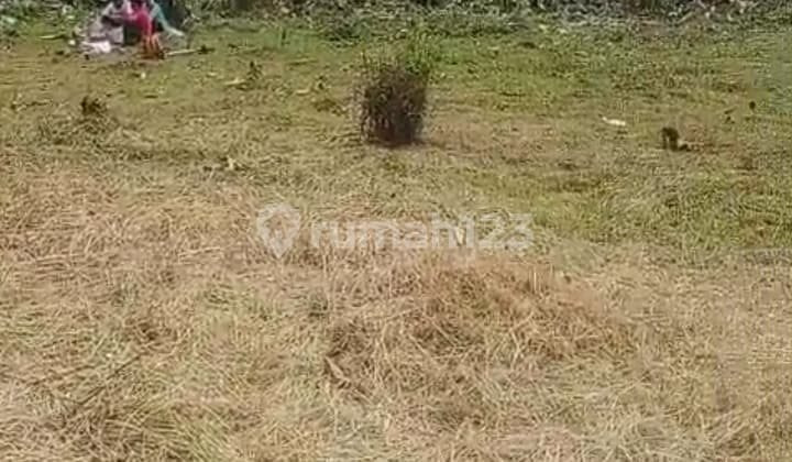 Jual Tanah Dekat Dengan Kampus Ipb Dramaga