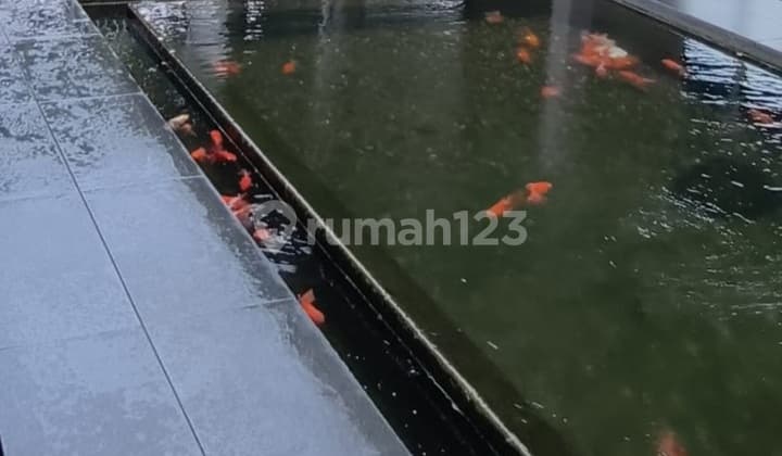 Rumah Besar dengan Kolam Ikan Chown Phg, Summarecon Serpong