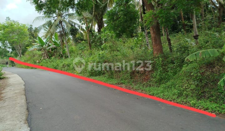 Tanah Luas Siap Bangun di Kulon Progo - View Terbaik, Akses Mobil, Cocok untuk Wisata/Resort