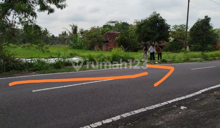 Dijual Tanah Sawah 4120 Meter Persegi Strategis di Pandowoharjo, Sleman