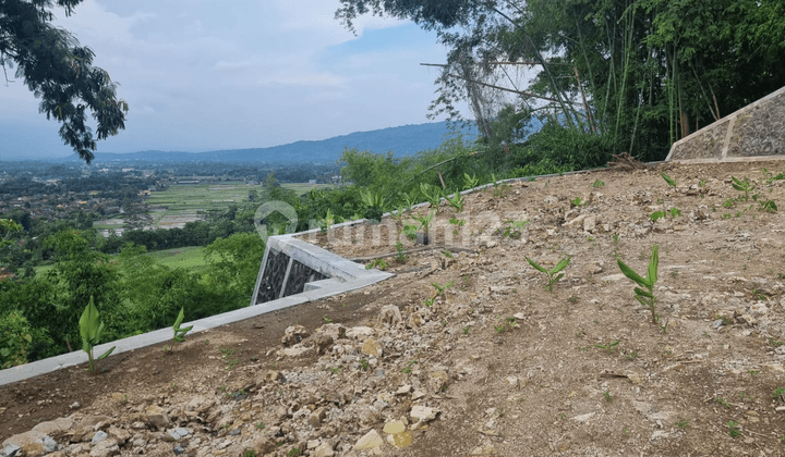 Land 1824 Meters in the Bukit Bintang Piyungan Bantul Area