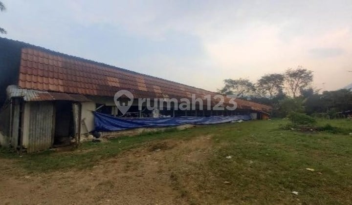 KAVLING SIAP BANGUN RUMPIN BOGOR: Investasi Tepat di Kaki Gunung Salak! (ex peternakan)